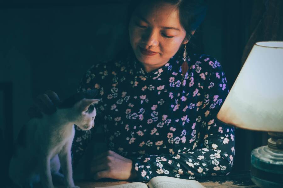 如果我的貓半夜發出噪音，我該怎麼辦？使用固定的慣例和互動來改善夜間噪音