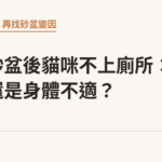 換新砂盆後貓咪不上廁所：抗拒還是身體不適？｜貓咪小百科