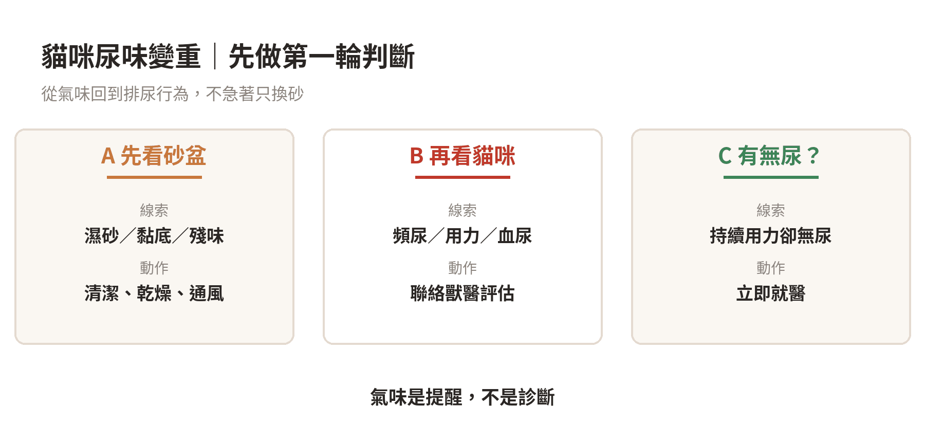 貓咪尿味變重時，先分辨環境因素與排尿異常的判斷流程