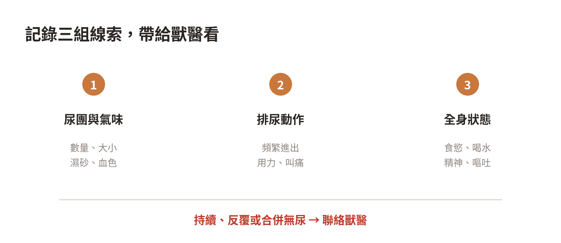 記錄貓咪尿味變化時要觀察的尿團、動作與全身狀態三個面向
