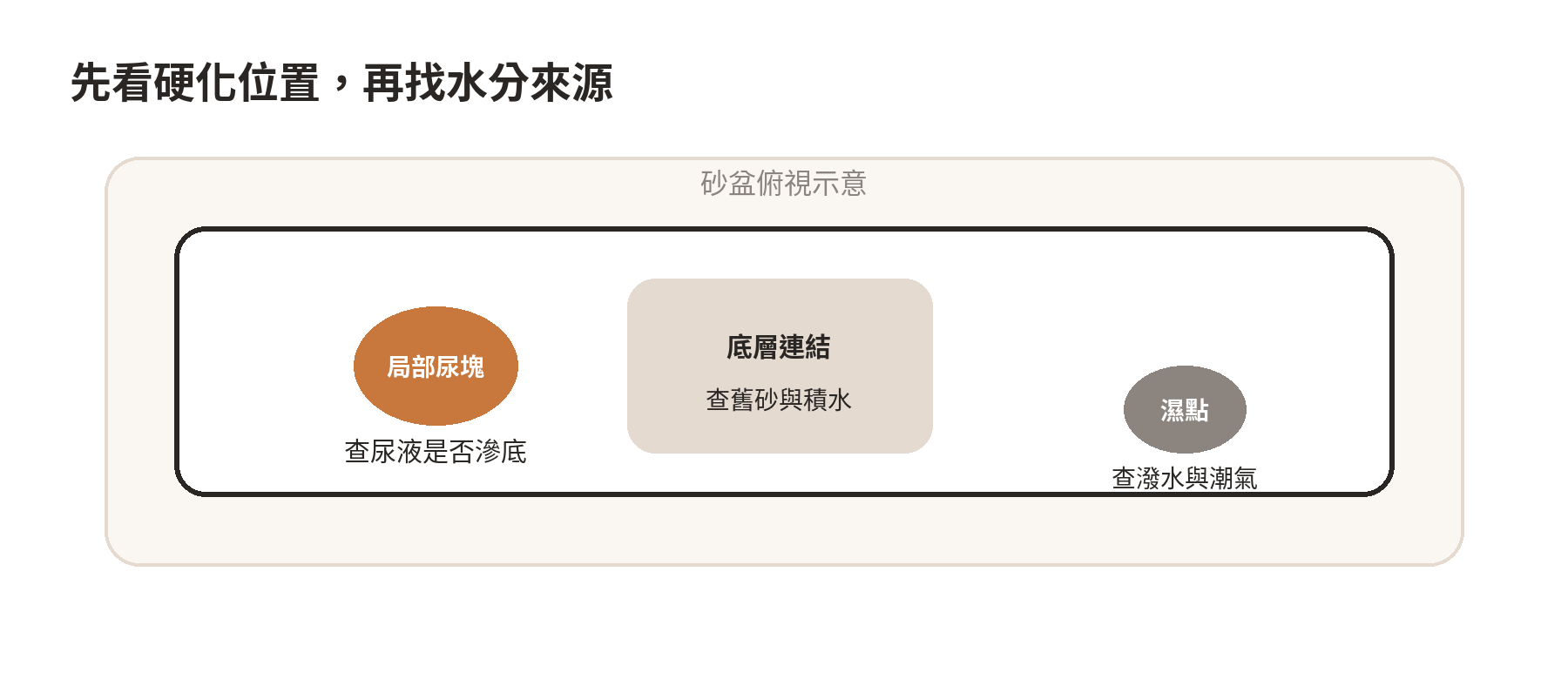 貓砂盆硬化位置對照：局部尿塊、底層連結與遠離尿點的受潮處，分別列出先檢查方向