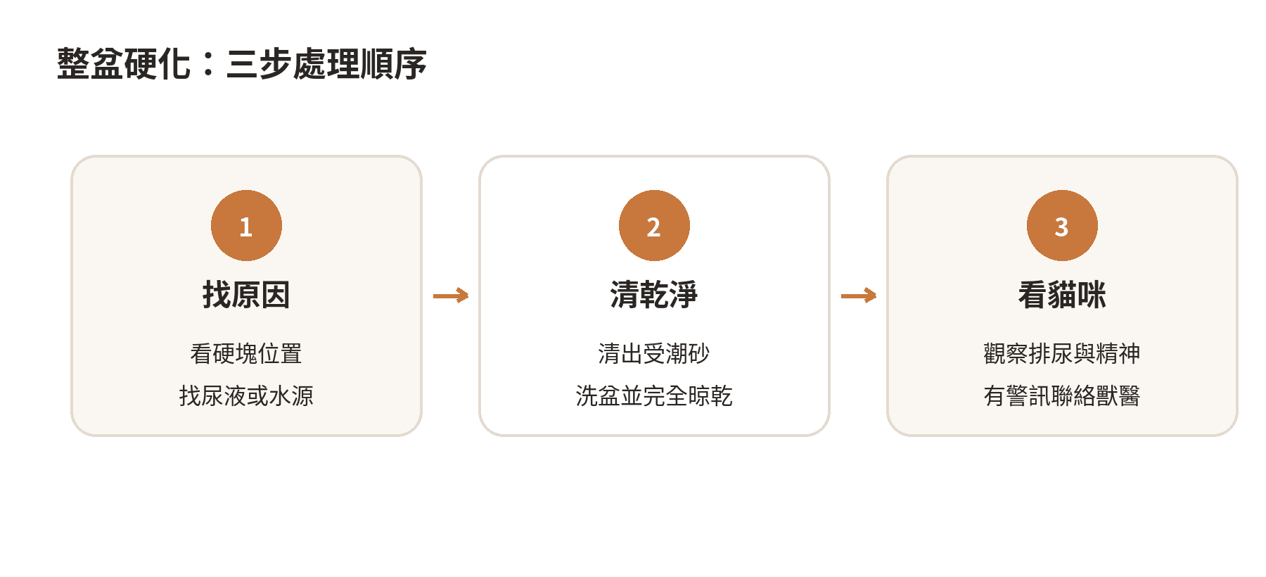 處理砂盆整體硬化的三步流程：找出水分來源、清除受潮砂並乾燥砂盆、觀察貓咪狀態與聯絡獸醫