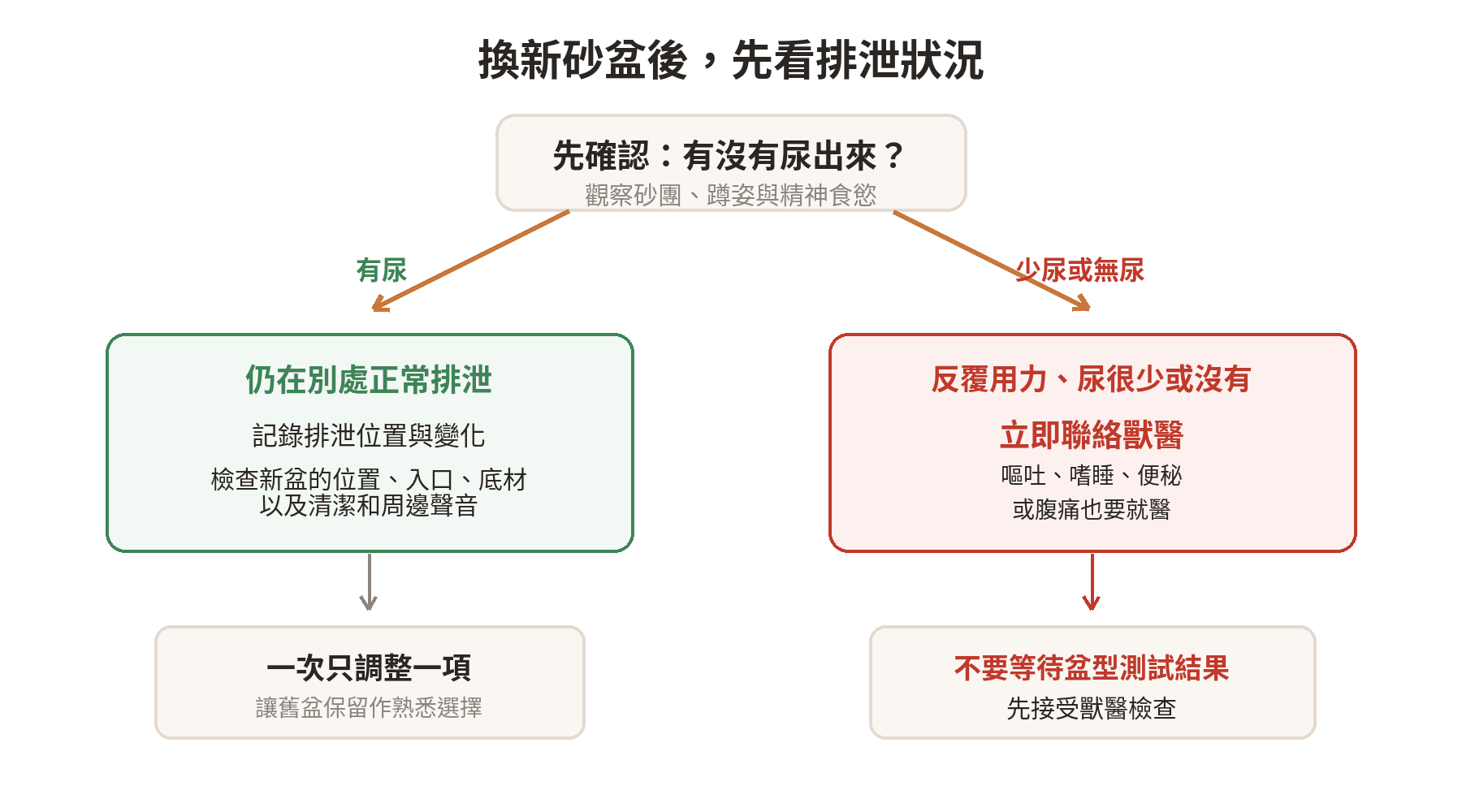 貓換新砂盆後拒用時，先看是否有尿與不適警訊，再檢查砂盆變動