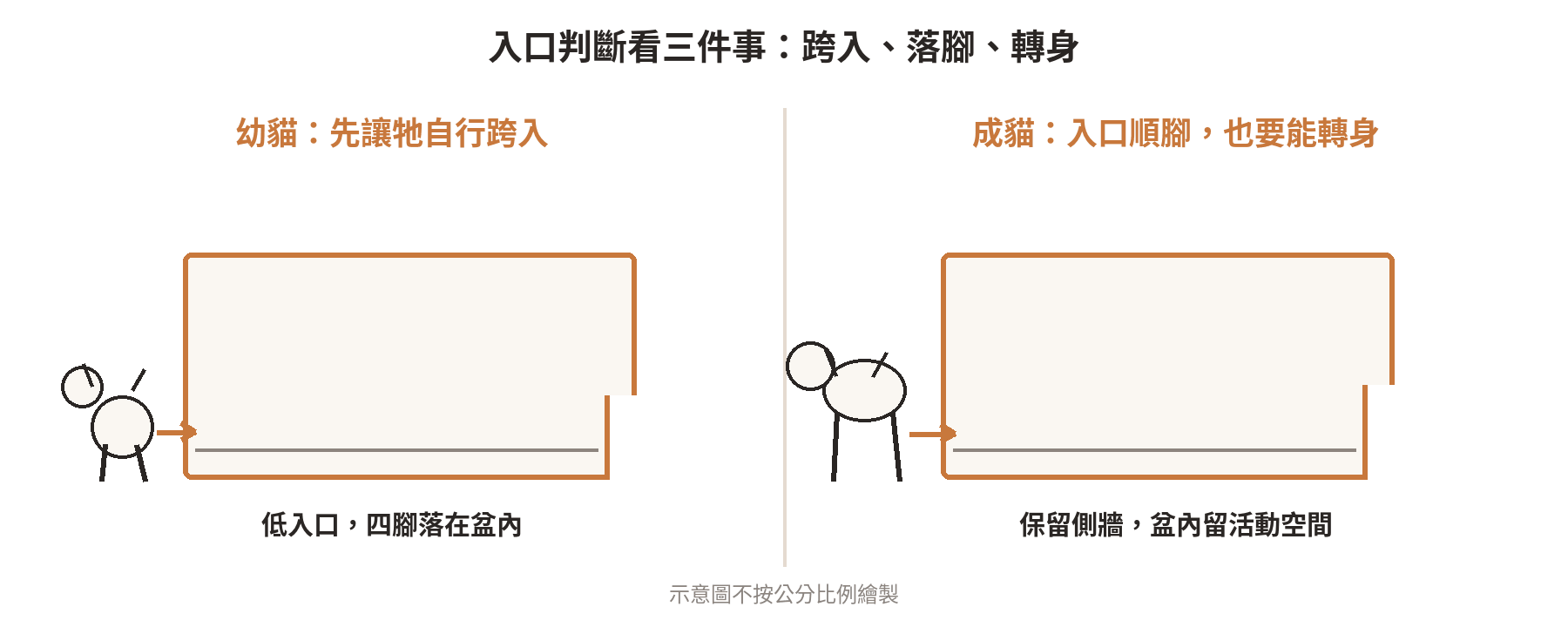 貓砂盆高度多少才合適?幼貓與成貓的進出門檻怎麼看 幼貓低入口與成貓保留側邊盆壁的砂盆剖面示意,標出跨入位置與盆內活動空間