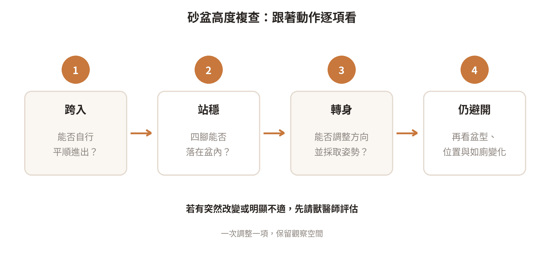 貓砂盆高度多少才合適?幼貓與成貓的進出門檻怎麼看 砂盆高度複查流程:觀察跨入、轉身與排泄姿勢,再調整入口或盆內尺寸